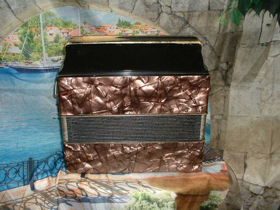 Concertina   Avenda N .988