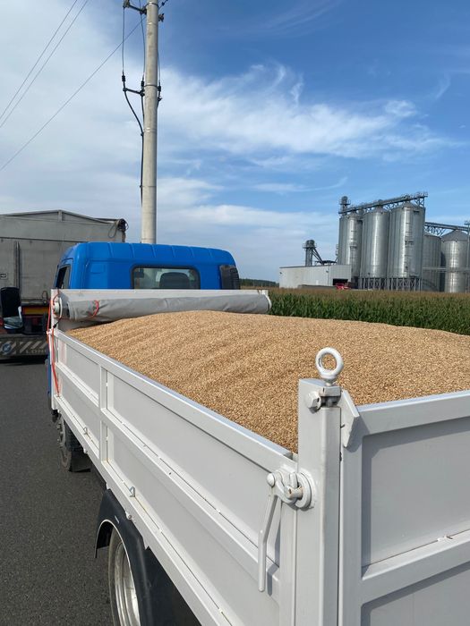 Transport wywrotka piasek żwir beton gruz drewno
