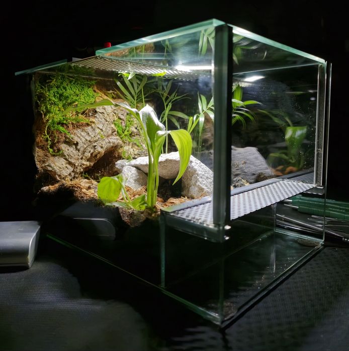 Terrarium na zamówienie | Bioaktywne | Ścianka strukturalna