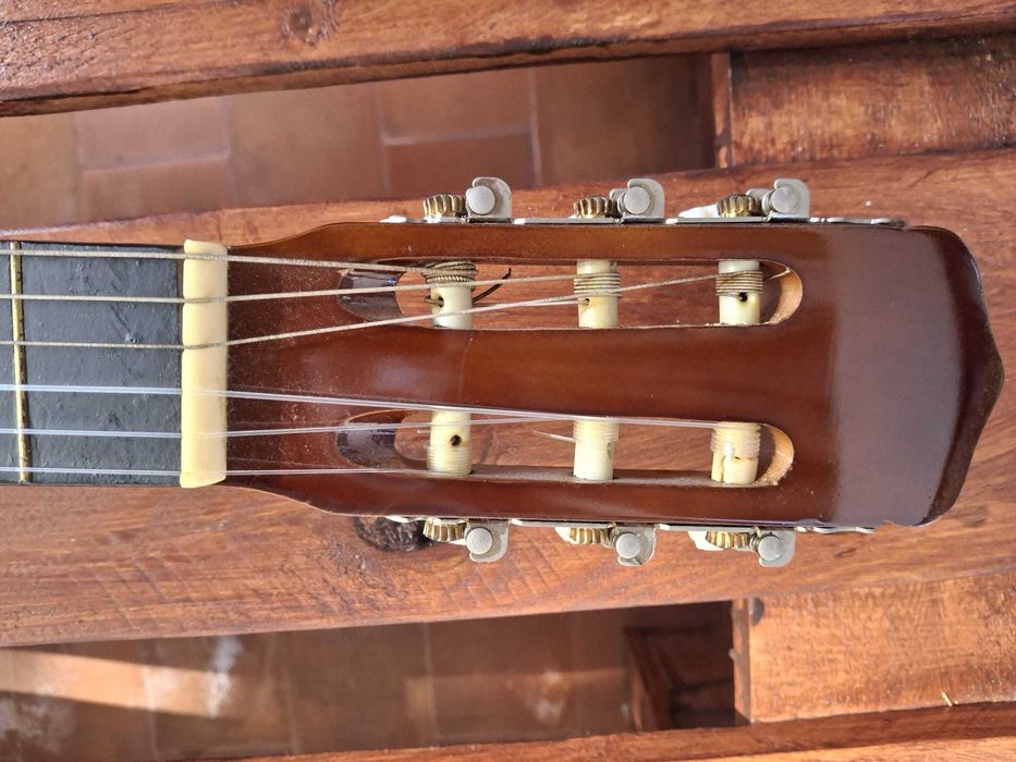 Viola com capa e palheta