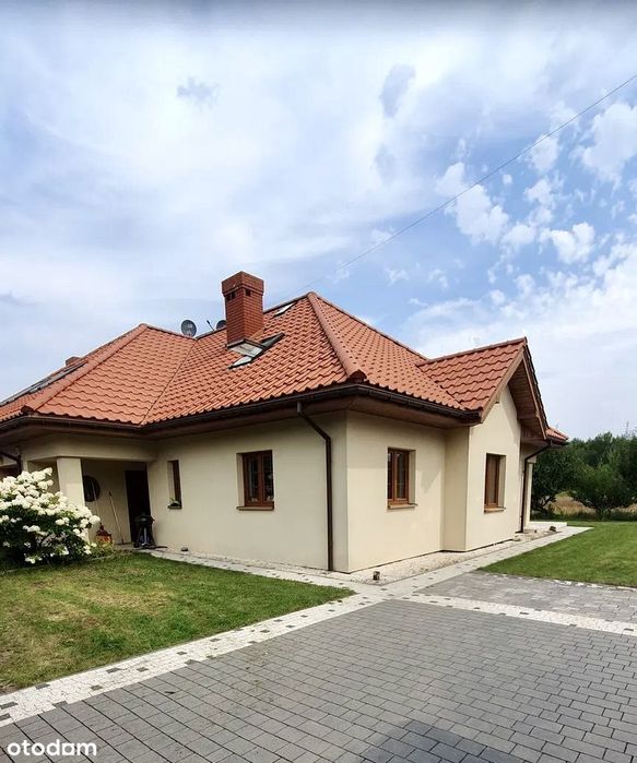 Zdjęcie 3