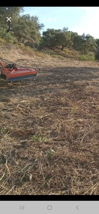 Limpeza de terrenos e proteção contra incêndios