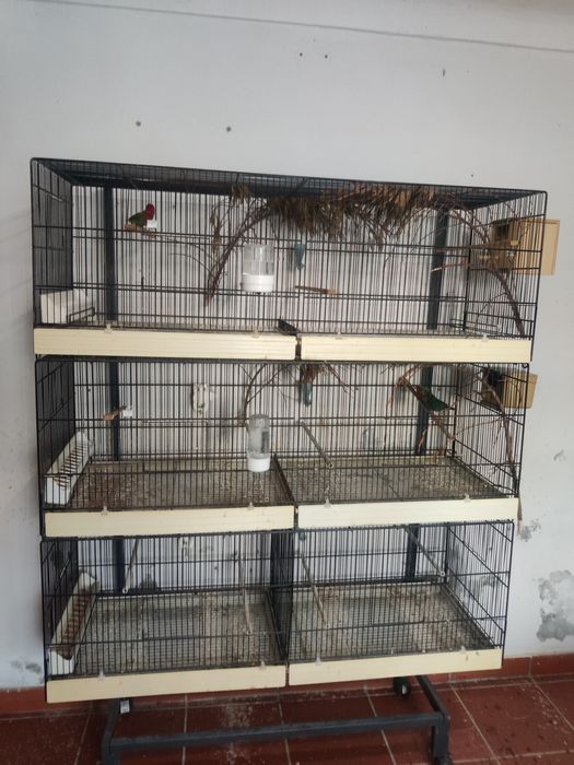 3 Voadeiras/gaiola 120x35x41 com suporte