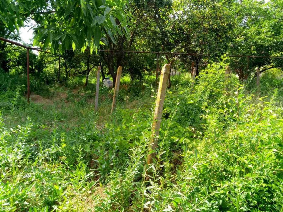 Пригород. Старый домик 50сот. У дороги.