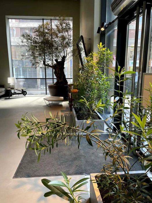 Генератор ЖК Aurum вул Паньківська Олімпійська