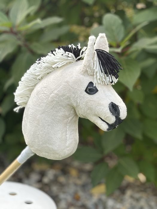 Hobby horse fiord