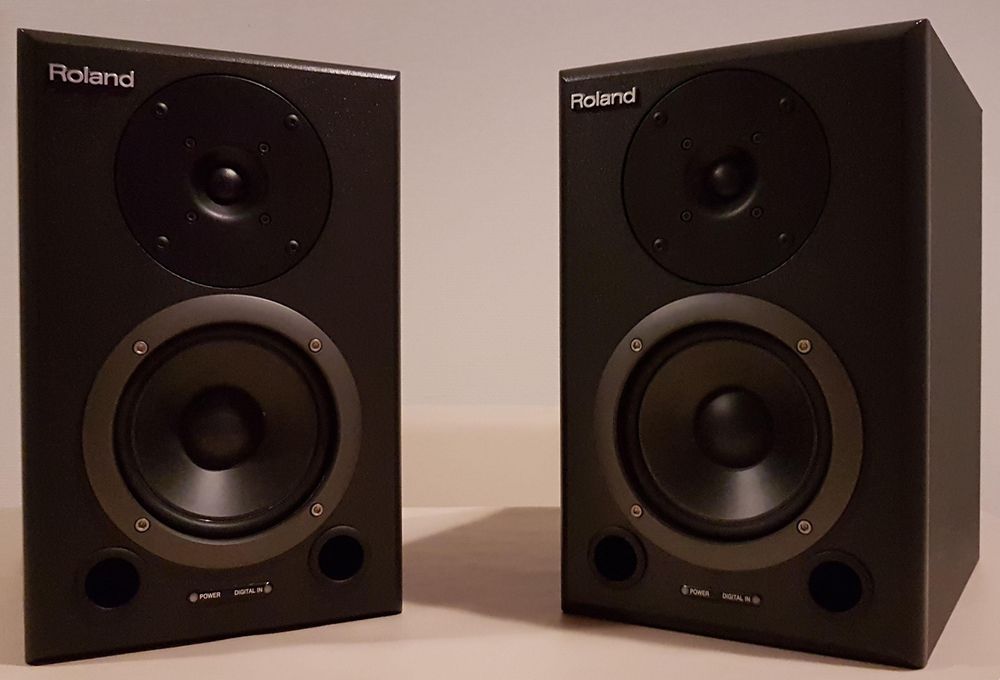 Par de Monitores de Estúdio Roland DS-50 Ativos – Excelente Estado