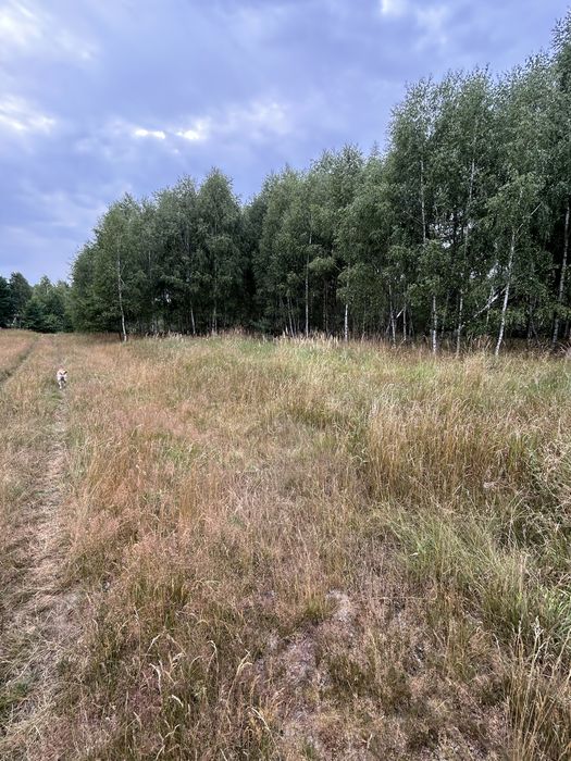 Sprzedam działkę