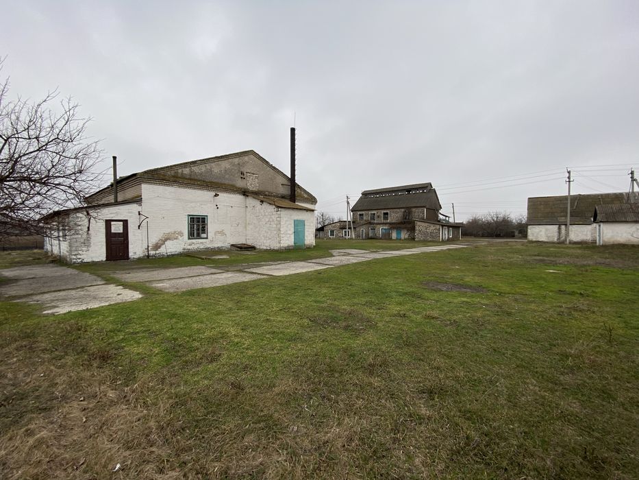 Оренда Олійниця, Крупорушка