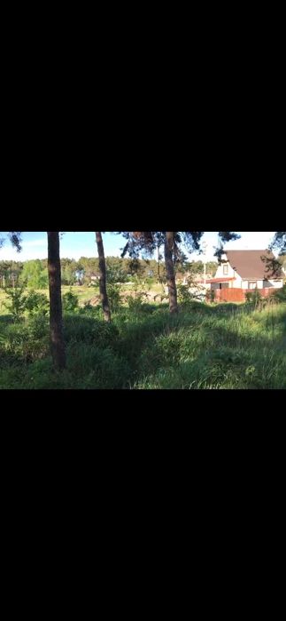 Живописный участок с соснами, свой водоём, все коммуникации.