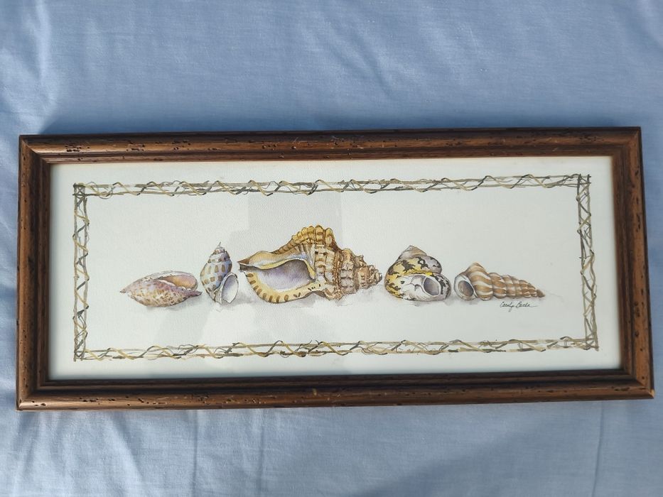 Quadro vintage conchas