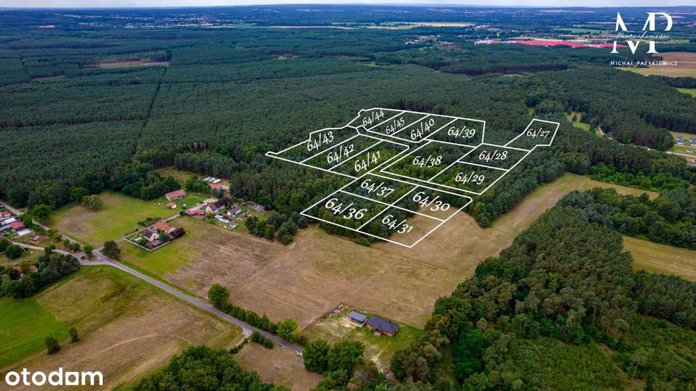 Pięknie położone działki | LAS | Domasławice | Okazja! 15-30 arów - Widok 5