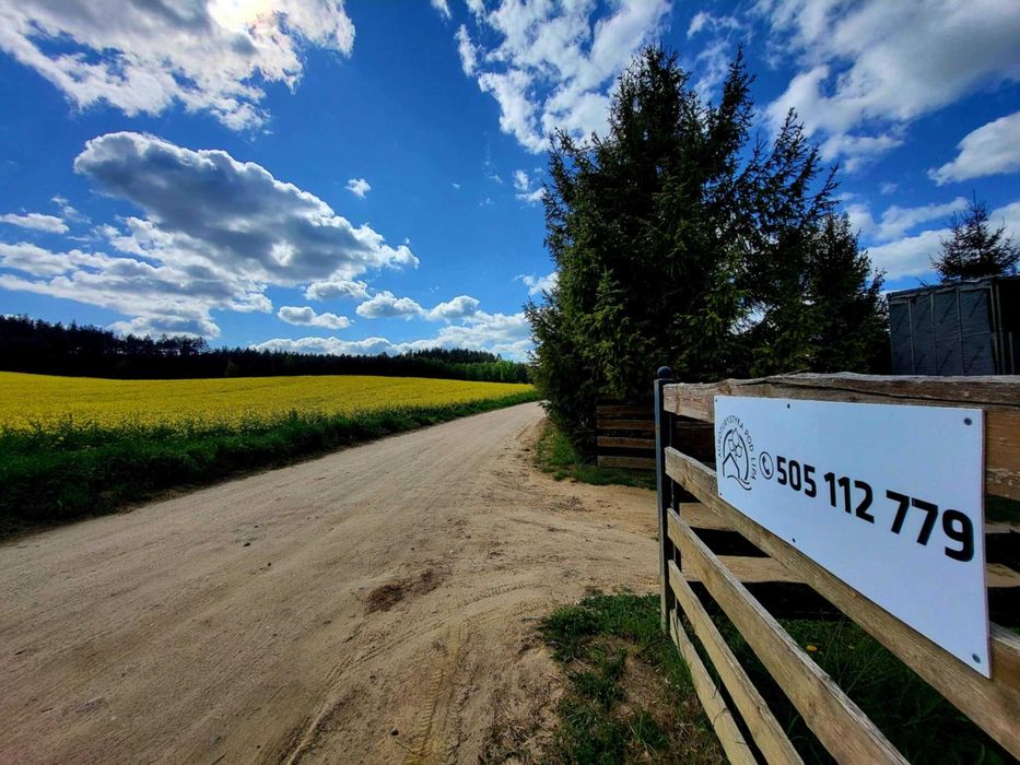 Domki letniskowe nad łowiskiem,jezioro,las cisza