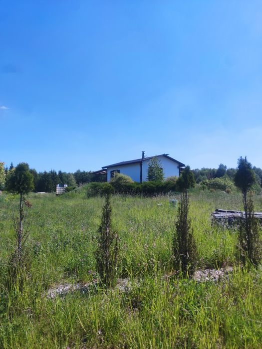 Działka rekreacyjna