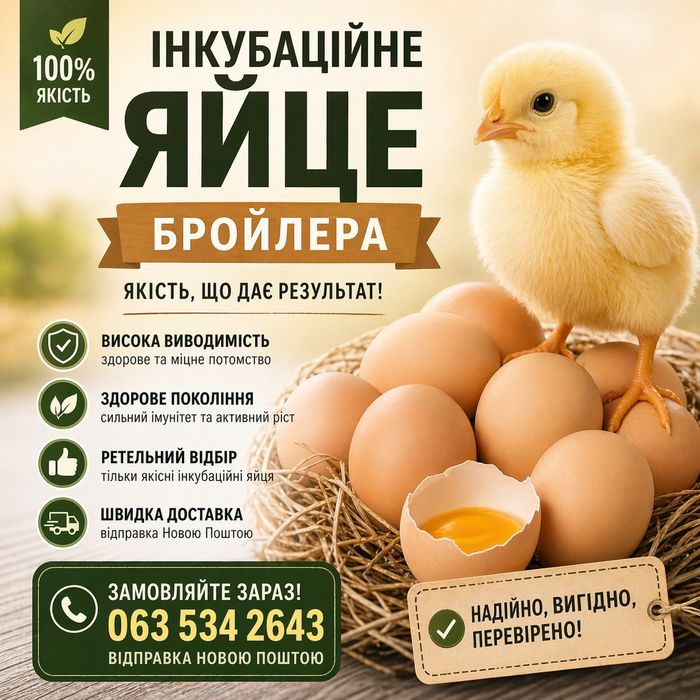 Інкубаційне яйце бройлера.

Здорове поголів'я та висока виводимість.

Регулярний контроль якості.

Надійне пакування та швидка відправка.

22 грн - ві