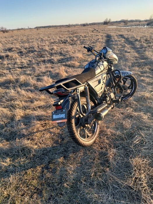 Продам Мустанг фіт 2