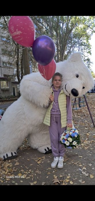 Панда  мишка аниматор  Черноморск  Великодолинское Овидиополь
