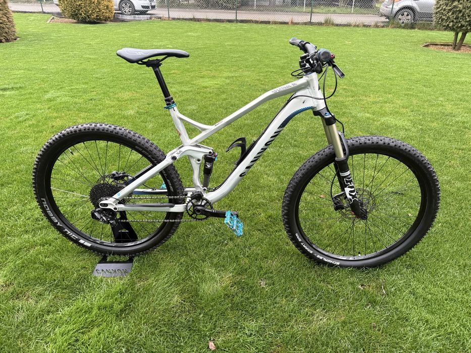 Canyon Spectral AL rower enduro full dh nie yt specialized trek cube