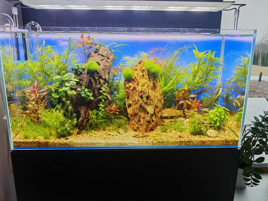 Podświetlane tło akwarium DIY jak Lightground Diversa itp 100x50cm RGB