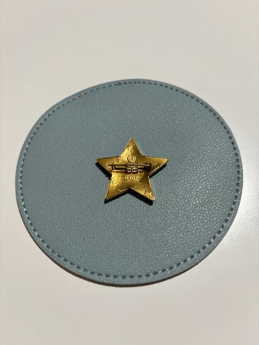 PIN Movimento Jovens Pioneiros USSR