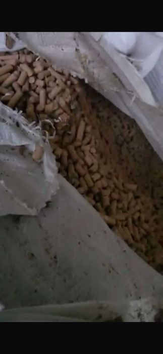 Pellet z łuski pszenicy BigBag