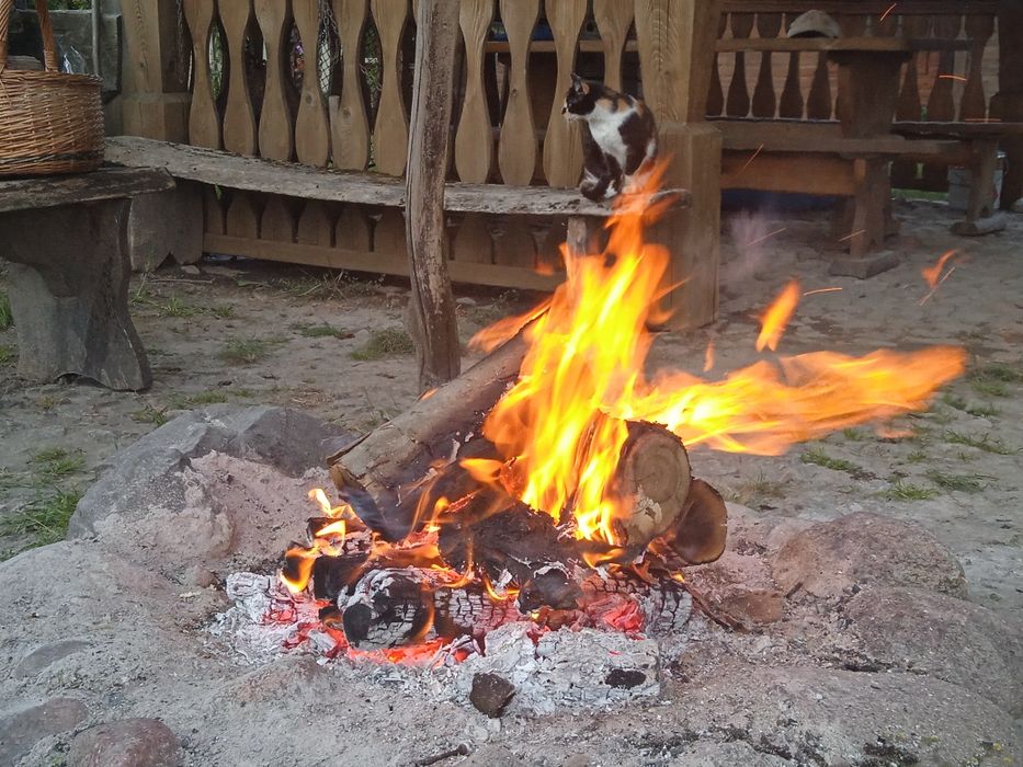 Domki i pokoje do wynajęcia