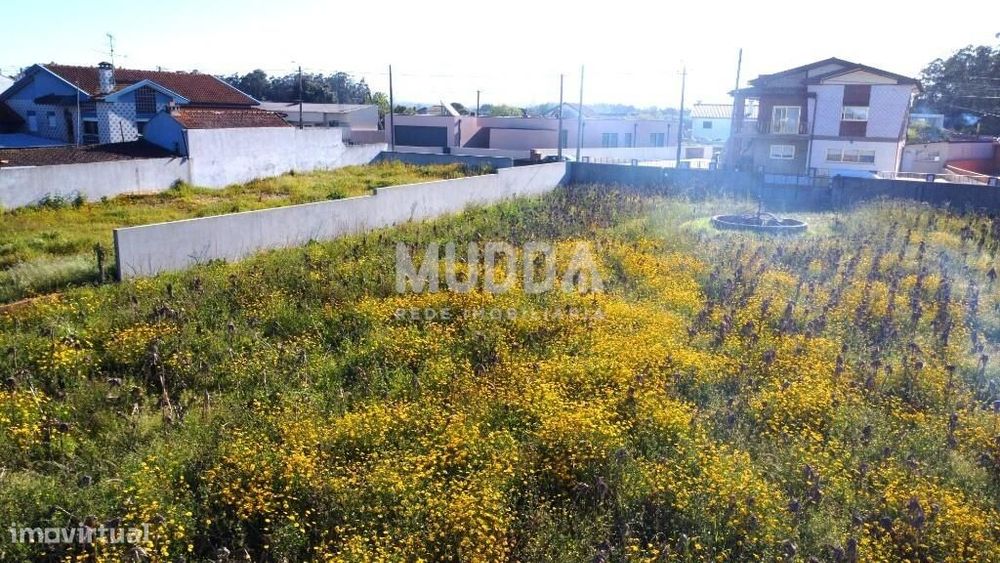 Terreno rústico com viabilidade para construção, Veiros, Estarreja