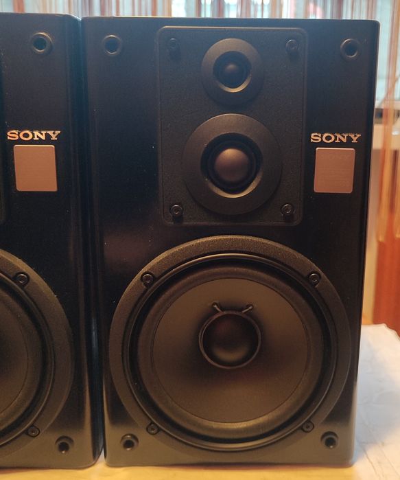Boxe Sony SS H 5500.