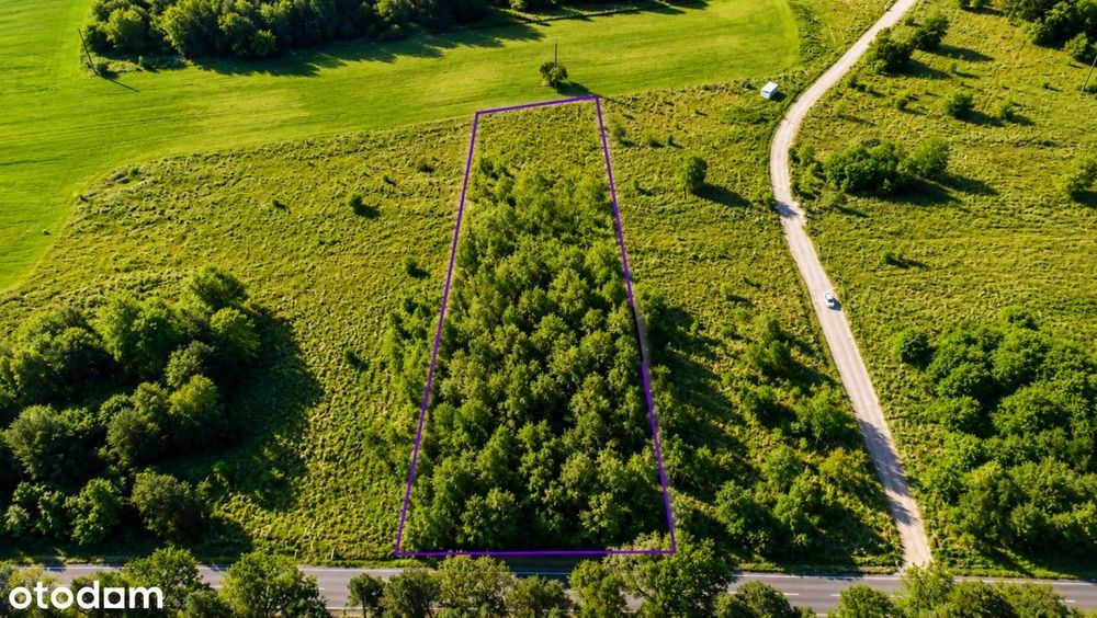 Działka budowlana 2660 m² przy lesie | Mpzp | Med – pohled 6