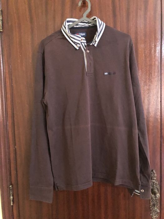 Polo Lion of Porches M