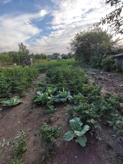 Продам будинок 75 кв Городня