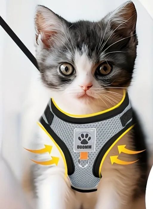 Повідок для котів, собак та гризунів