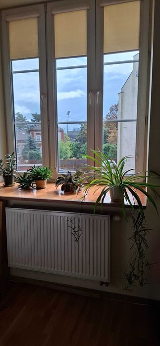 Mieszkanie – Pruszków - Widok 5