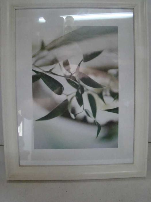 IKEA klasyczna biała ramka 46cm x 36cm z oliwkami za szkłem