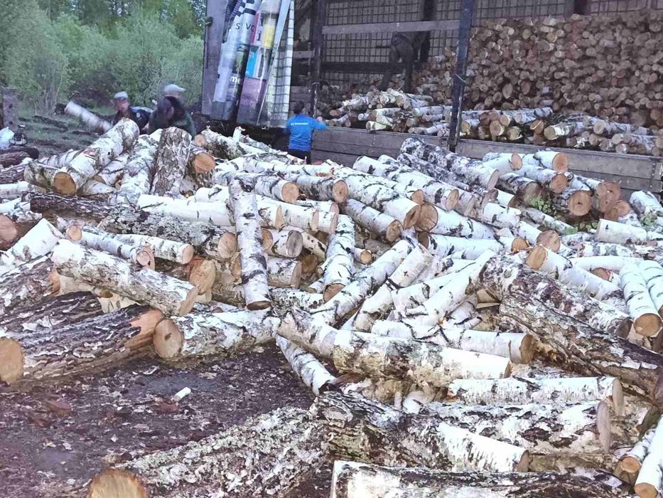 Дрова вільха береза дуб