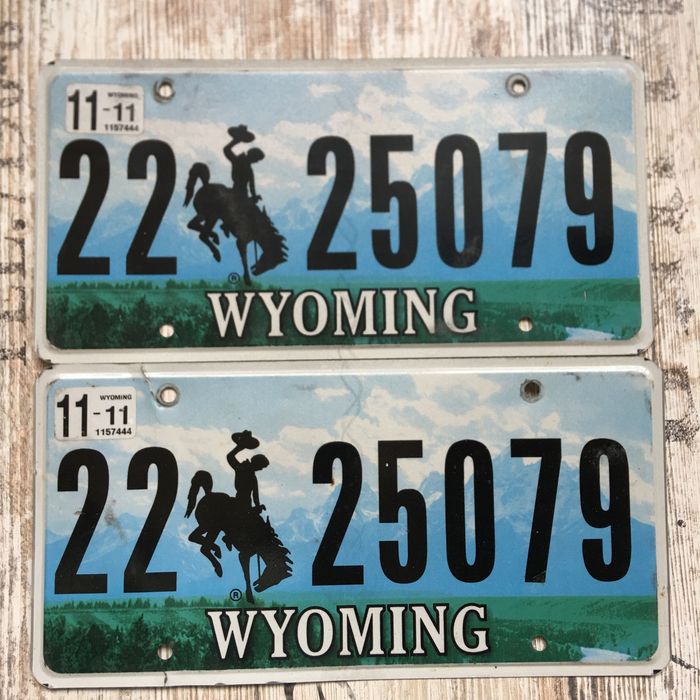 Номерной знак США USA plate номер парный пара два авто Металл оригинал