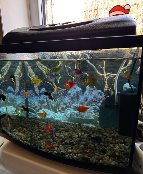 Аквариум 30л.