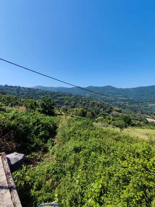 Quintinha no Douro Sul (Ferrós de Resende)