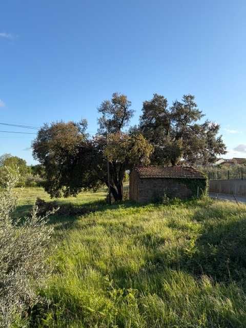 Terreno em rua do Casal do Porto, 139, Vila Facaia, Pedrogão Grande 2.897 m²