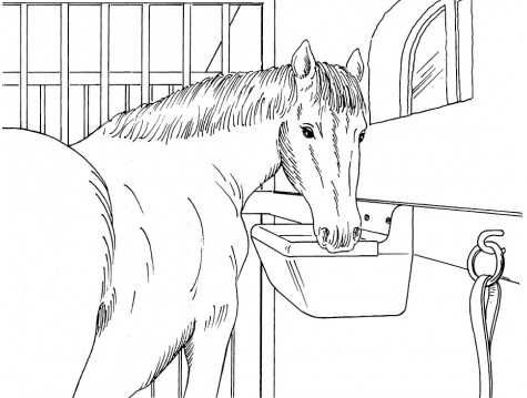 Karmidło Poidło dla koni krów Koryto 15l Żłób