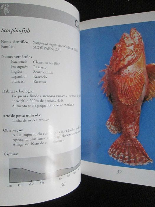 Peixes de Cabo Verde, de Vanda Marques da Silva Monteiro