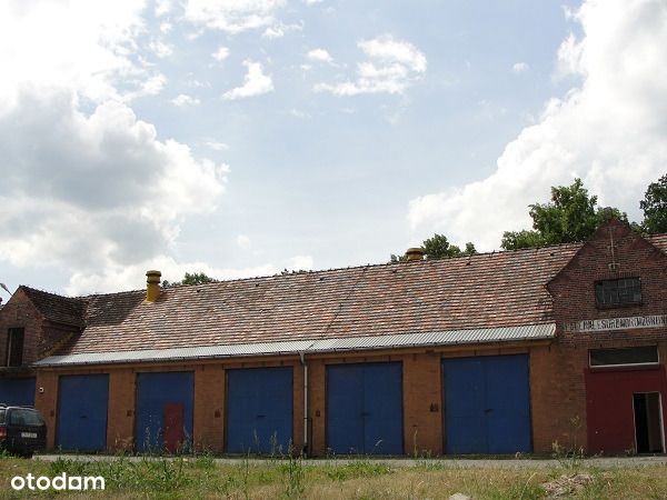 Do wynajęcia hale magazynowo-produkcyjna w Nysie