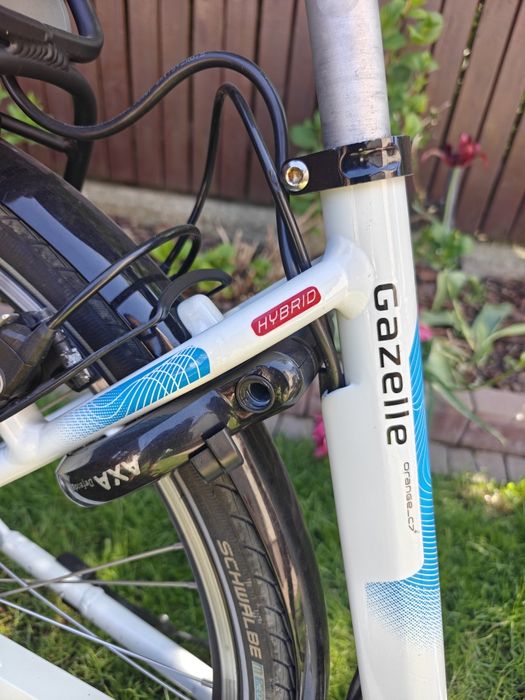 Gazelle Orange_C7+ Bosch