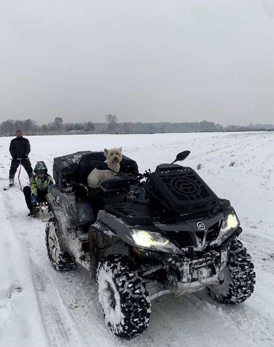 Cf moto 850 Fv cena brutto