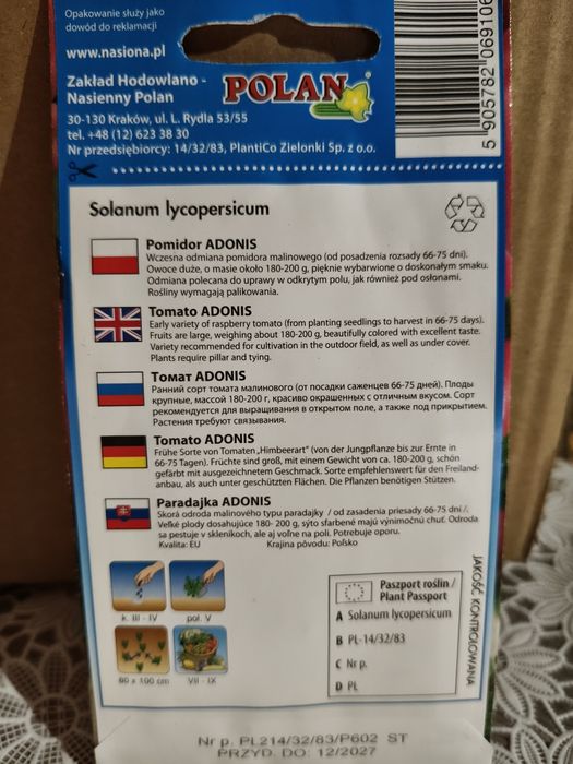 Pomidor  "Adonis"