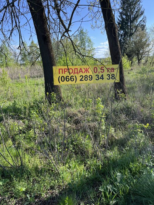 Продається торгово-відпочинкове приміщення