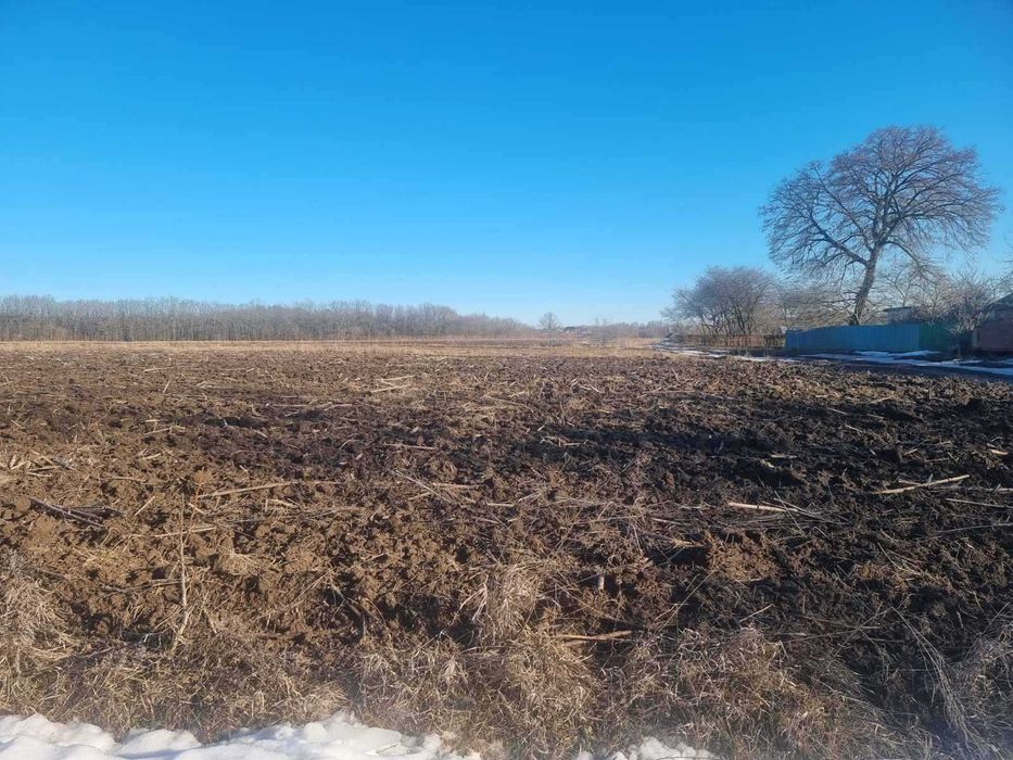 (8) Продам земельну ділянку в Яришівці 2875