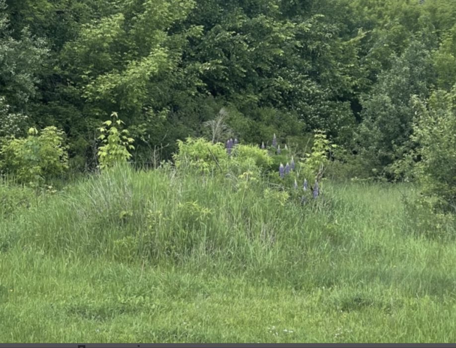 Земельна ділянка!Лісова Буча!41сотка!Р-н Тоскани!Під будівництво!