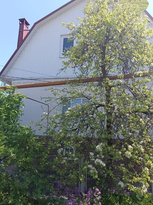 Дом 100 м. кв. 12 соток Сухачевка. ТОЛЬКО НАЛИЧНЫЙ РАСЧЕТ - Widok 5