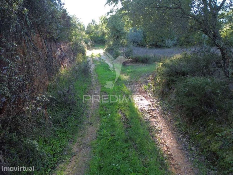 Terreno Rústico de 9.680 m² em Arneiro das Milhariças